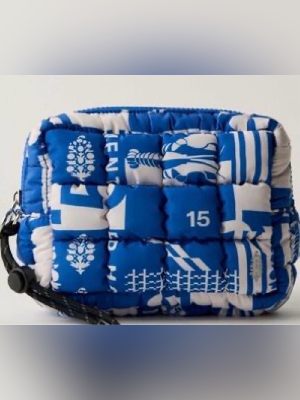 Free People Quilted Mini Case